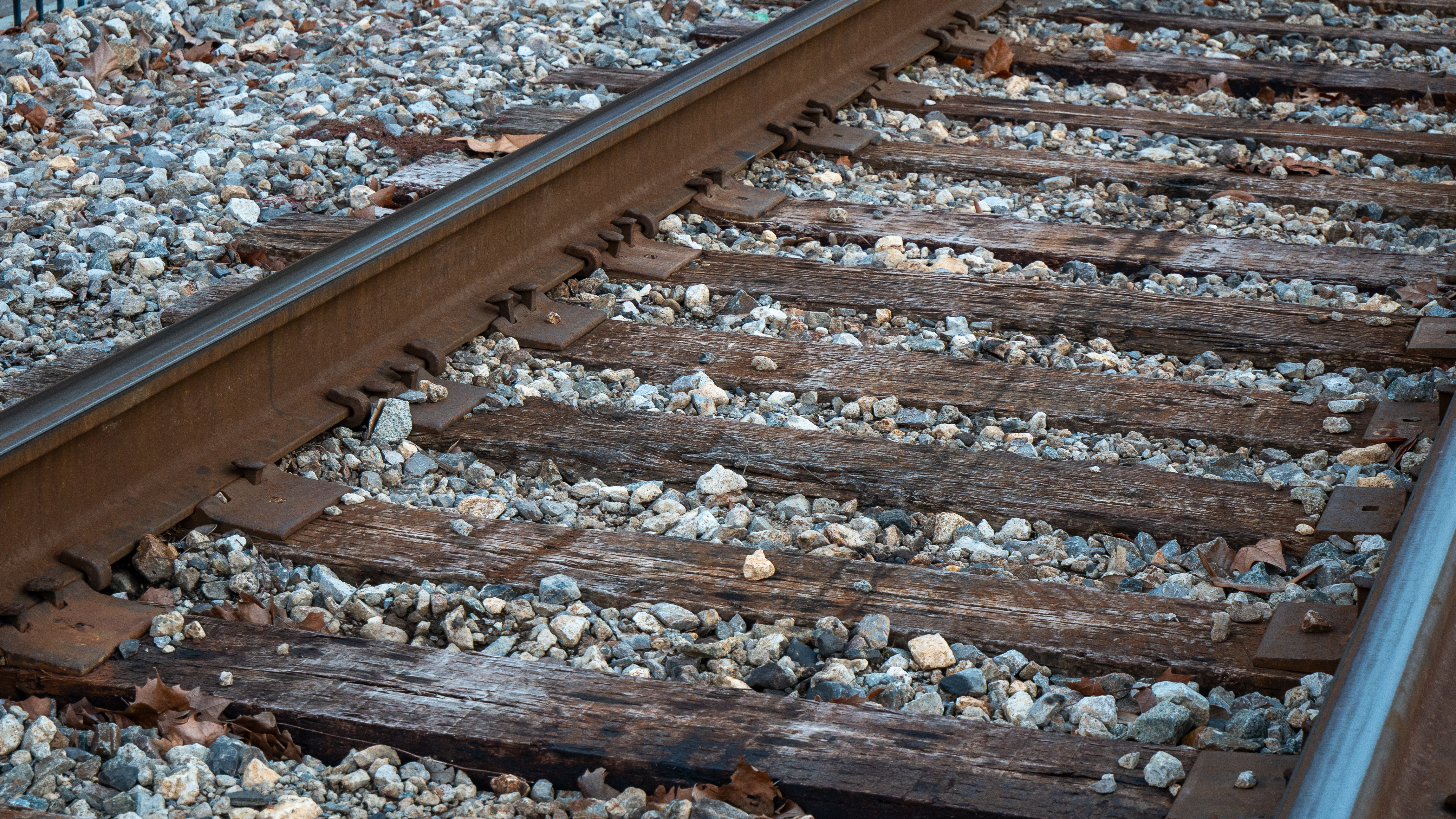 The Universe Library